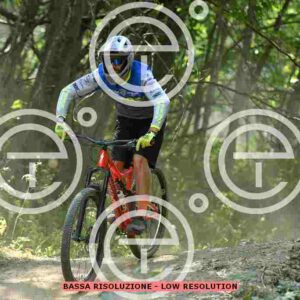 NIC_6020_tn