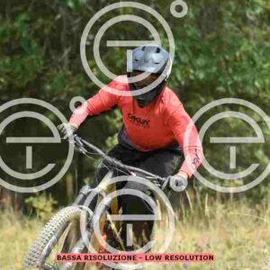 NIC_6157_tn