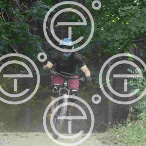 NIC_6310_tn