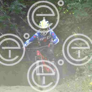 NIC_6315_tn