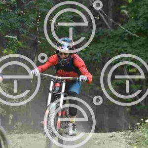 NIC_6345_tn