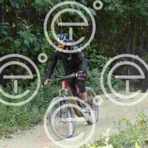 NIC_6358_tn
