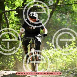 NIC_6431_tn