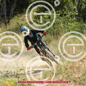 NIC_6492_tn