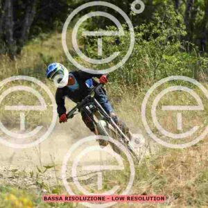 NIC_6493_tn