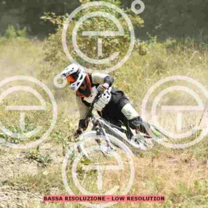 NIC_6537_tn