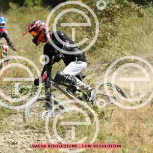 NIC_6598_tn