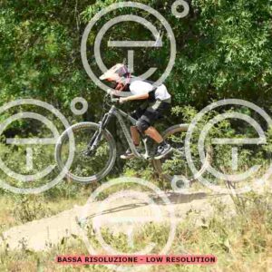 NIC_6690_tn