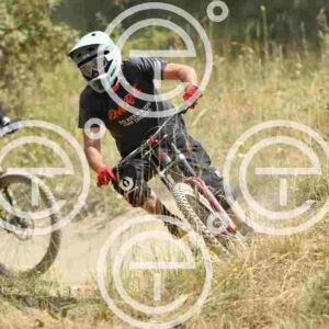 NIC_6743_tn