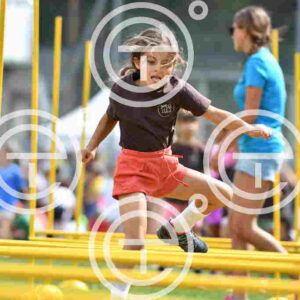 NIC_7661_tn