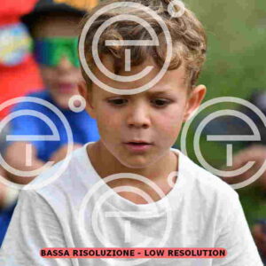 NIC_8278_tn