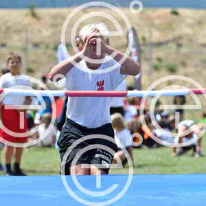 NIC_8506_tn