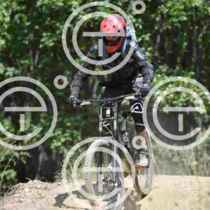 NIC_0020_tn