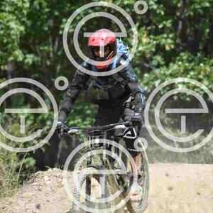 NIC_0021_tn