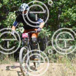NIC_0031_tn