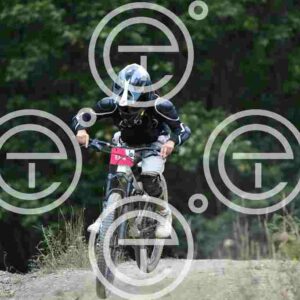 NIC_0037_tn