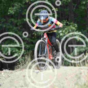 NIC_0046_tn