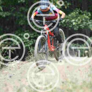 NIC_0047_tn
