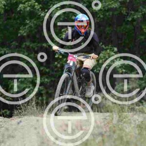 NIC_0102_tn