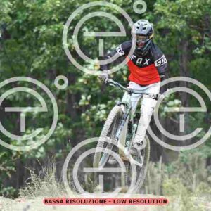 NIC_0194_tn