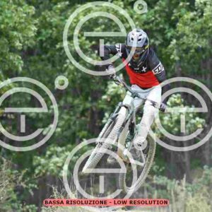NIC_0195_tn