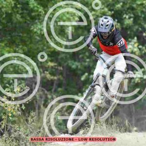 NIC_0197_tn