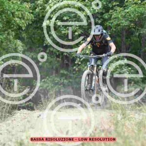 NIC_0206_tn