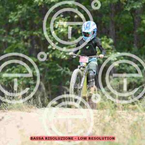 NIC_0219_tn