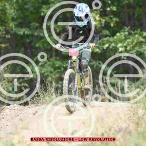 NIC_0222_tn