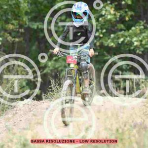 NIC_0223_tn