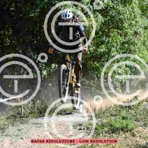 NIC_0254_tn