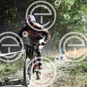 NIC_0272_tn