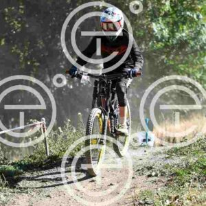 NIC_0286_tn