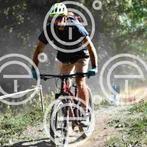 NIC_0292_tn