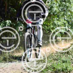 NIC_0302_tn