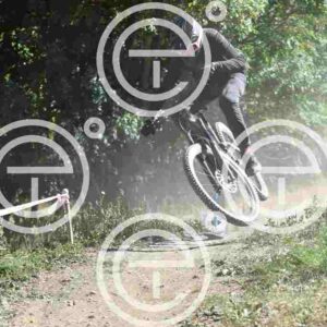 NIC_0371_tn