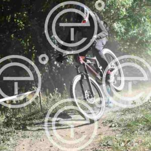 NIC_0372_tn
