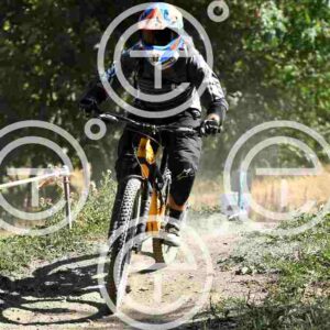 NIC_0470_tn