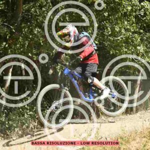 NIC_0540_tn