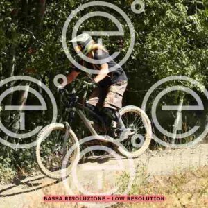 NIC_0572_tn