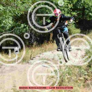 NIC_0742_tn