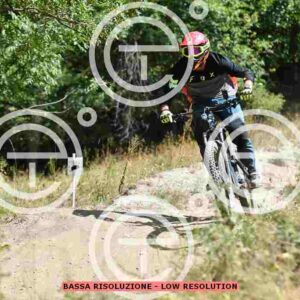 NIC_0743_tn