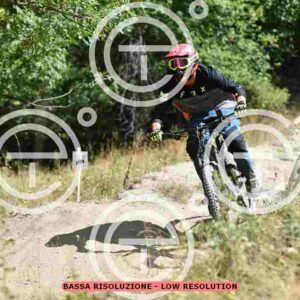 NIC_0744_tn