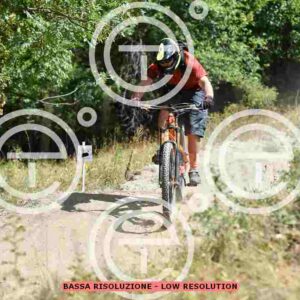 NIC_0747_tn