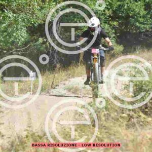 NIC_0753_tn