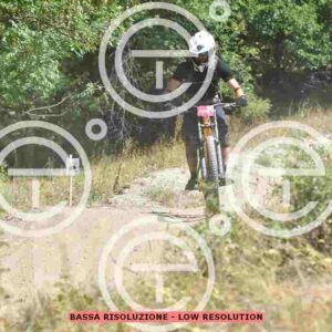 NIC_0754_tn