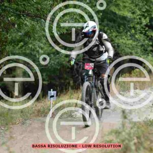 NIC_0770_tn