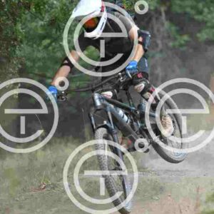 NIC_0813_tn