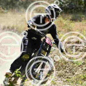 NIC_0837_tn