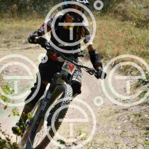 NIC_0851_tn